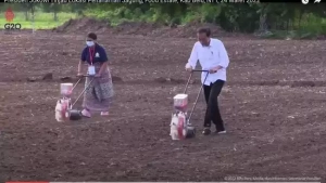 Food Estate Jokowi Gagal Semua, Ungkap Guru Besar Ipb 9 Food Estate Jokowi Gagal Semua