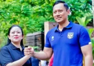 AHY Disinyalir Bakal Dilantik Jadi Menteri, Pengamat Khawatir Emosi PDIP di Kabinet Memuncak