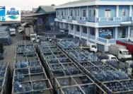 Lowongan Kerja Serang di PT Tirta Varia Intipratama (Distributor AQUA)