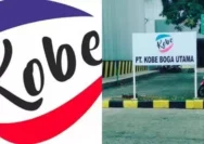 Lowongan Kerja Tangerang di PT Kobe Boga Utama
