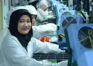 Lowongan Kerja Tangerang di PT Vivo Mobile Indonesia
