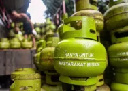 Demi Makan Siang Gratis ala Prabowo, Ini Risiko Utak-Atik Subsidi Energi