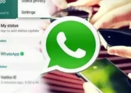 Waspadai 4 Tanda ini Jika terjadi Saat Bermain WhatsApp di HP kamu