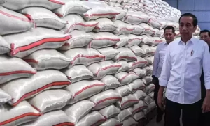 Harga Beras Melonjak, Ternyata Harta Jokowi Juga Naik? 5 Harga Beras Melonjak, Ternyata Harta Jokowi Juga Naik