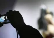 Heboh! Video Viral VCS Diduga Sekda Rokan Hilir, Polisi Lakukan Penyelidika