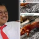 Kontroversi Viral, Anggota DPRD Sulsel Ajak Buka Puasa dengan Foto Babi Guling, MUI Bereaksi