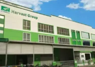 Lowongan Kerja Menarik di PT Indo Greenlife Harvest Tangerang, Banyak Posisi Tersedia