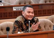 Mardani, Honorer Dapat NIP Desember 2024, Termasuk Lulusan SD