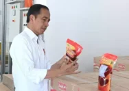 Minyak Makan Merah yang Direkomendasikan Jokowi