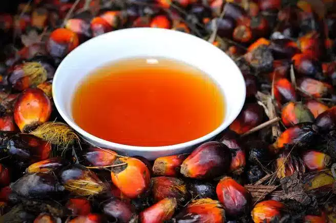 minyak makan merah