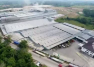 Lowongan Admin Gudang Terbaru di PT Aplus Pacific Tangerang, Buruan Daftar!