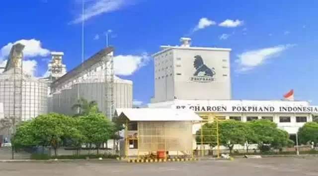 Lowongan Kerja Terbaru di PT Charoen Pokphand Indonesia Tbk Cikande - Daftar Sekarang!