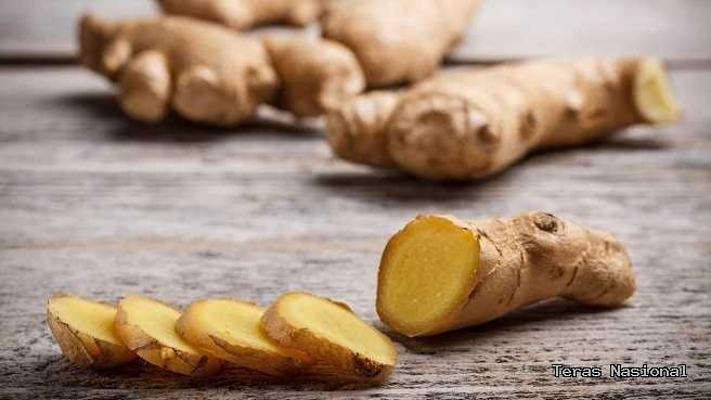jahe obat herbal