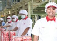 Lowongan Kerja PT Mayora Indah Tbk Penempatan di Tangerang
