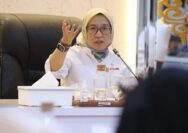 Menpan RB Tegas! Kepala Daerah Baru Dilarang Rekrut Pegawai Honorer