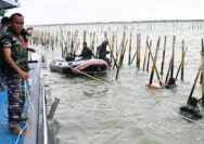 Negara Harus Tegas! Mafia Tanah Kuasai Pesisir, Lahan Harus Disita