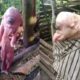 Heboh! Babi Mata Satu di NTT Bikin Geger, Telinga dan Lidah Mirip Manusia