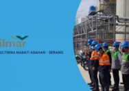 Lowongan Kerja Terbaru PT Multimas Nabati Asahan (Wilmar) Penempatan Serang