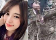Misteri Feni Ere, Sales Mobil yang Hilang Setahun Ditemukan Tinggal Kerangka di Palopo