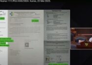 Dokter Spesialis Bersaksi di MK: Dipecat Setelah Menulis Kritik untuk Menkes