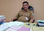 Pandeglang Kehilangan, Sekda Ali Fahmi Sumanta Tutup Usia