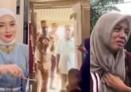 Kasus PPPK di Aceh Gegerkan Publik, Nama Selebgram Shella Saukia Disorot