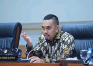 Heboh! Sahroni Dianggap Tidak Layak Bertahan di DPR, Ini Penyebabnya
