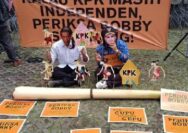 Isu Panas, Jokowi–Bobby Disebut Kendalikan ‘Wayang’ di KPK, Benarkah
