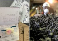 Aksi Penyelundupan Nikel oleh TKA China di PT IWIP Digagalkan Satgas Terpadu