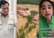 Dewi Persik Nilai Prabowo Layak Jadi Presiden Seumur Hidup, Singgung Kunjungan ke Aceh