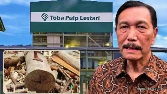 Aktivis Desak Satgas Hutan Periksa Luhut Terkait Dugaan PT TPL Penyebab Banjir Sumut
