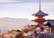 Bukan Sakura! Kuil di Kyoto Punya Bunga yang Gugur Hanya Sehari 15 Bukan Sakura Kuil Di Kyoto Suguhkan Keindahan Bunga Yang Gugur Sehari