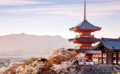 Bukan Sakura! Kuil di Kyoto Punya Bunga yang Gugur Hanya Sehari