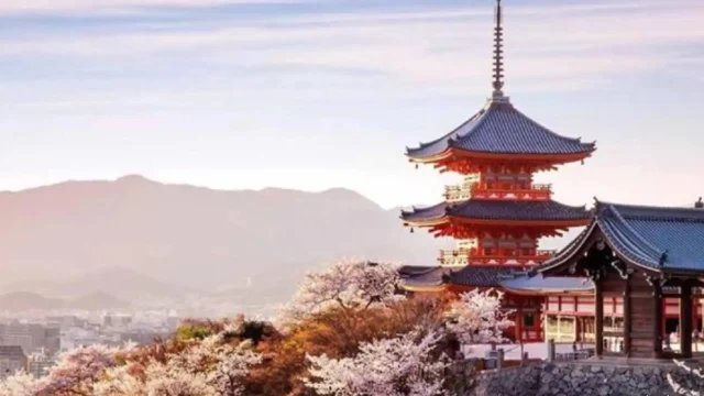 Bukan Sakura Kuil Di Kyoto Suguhkan Keindahan Bunga Yang Gugur Sehari