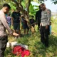 Wanita Muda 19 Tahun Ditemukan Tewas Tergantung Di Pohon Perkebunan Bogor