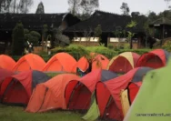 Teras Nasional HBMZAFLW
