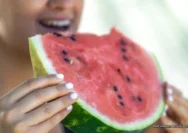 Rajin Makan Semangka Ternyata Bisa Melindungi Jantung, Ini Penjelasan Ilmiahnya